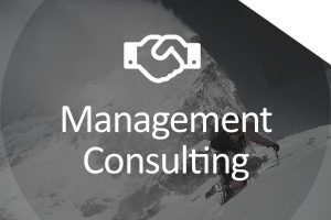 Management Consulting Service